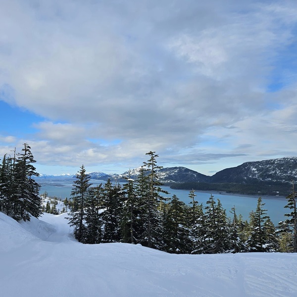 The top of Mount Eyak offers breathtaking views of Cordova, Prince William Sound, and the surrounding Chugach Mountains. 