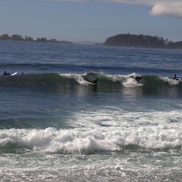 The sandy bottom makes it a relatively forgiving surf spot, producing more beginner-friendly waves, though conditions can vary. 