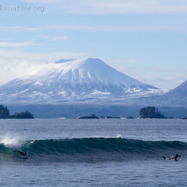 Sandy Beach   - Webpage Image
