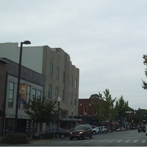 Florence's historic downtown district is a vibrant hub of activity, featuring a mix of boutique shops, art galleries, restaurants, and cafes housed in beautifully preserved buildings. 