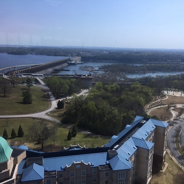 Visitors to the river can enjoy activities such as boating, fishing, kayaking, and paddleboarding on the river, or nearby parks and nature trails for hiking, picnicking, and birdwatching. 