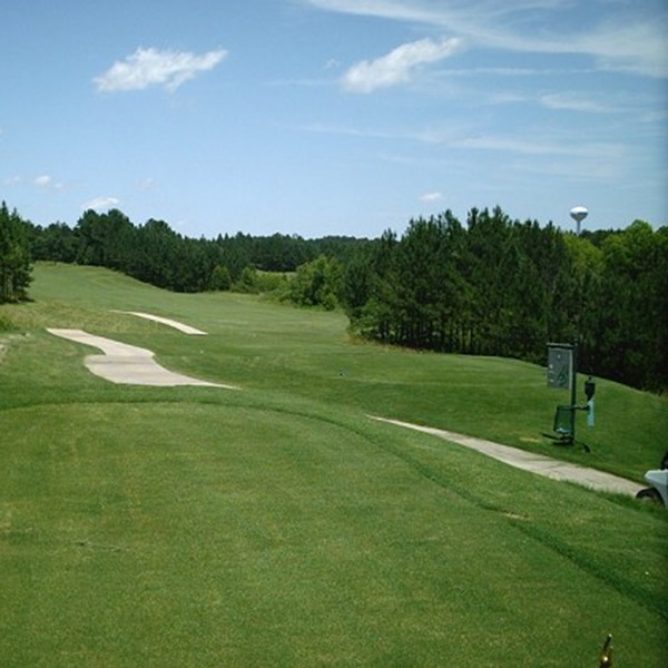 Horse Creek Golf Course is one of the main attractions in Dora. It offers an 18-hole course that is both challenging and scenic, with well-maintained greens and fairways. 