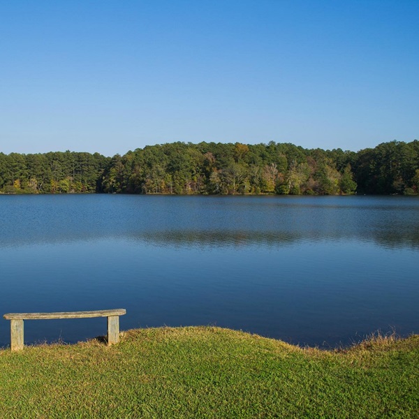 A short drive from Dora, Walker County Lake is a popular spot for fishing, boating, and picnicking. 