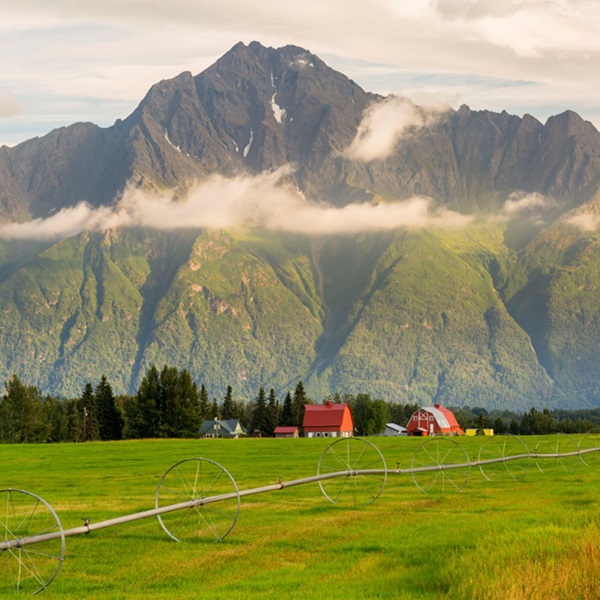 Visit Palmer - Webpage Image