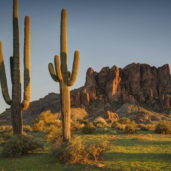 Apache Junction is located near the Superstition Mountains, a popular destination for hiking, photography, and exploring the desert landscape. 
