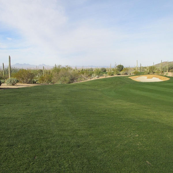 Vail is home to the Del Lago Golf Club, an 18-hole championship golf course set against the backdrop of the Rincon and Santa Rita Mountains. 