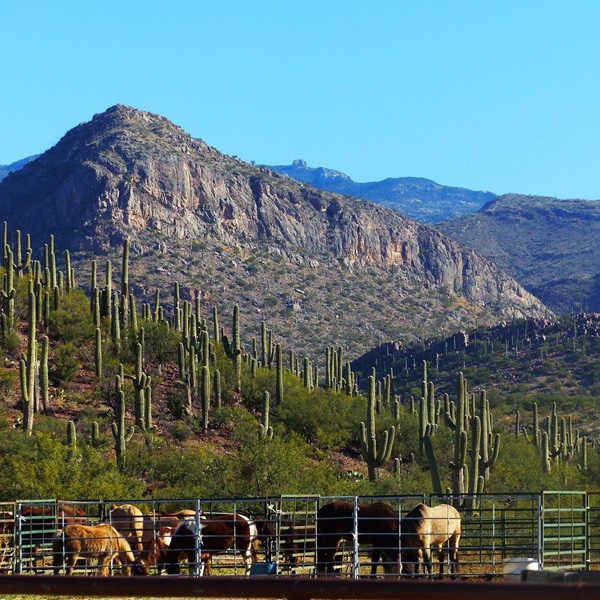 Greater Vail Area Chamber of Commerce   - Webpage Image