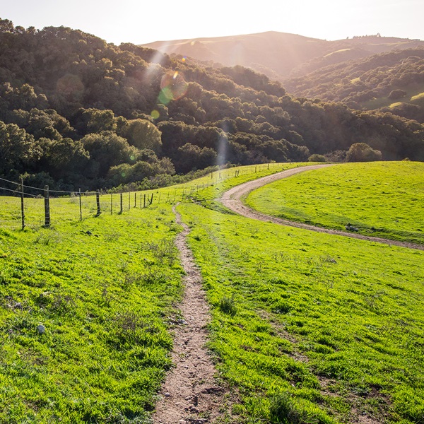 In San Benito County, the trail passes through the scenic countryside, including areas near the towns of Hollister and Tres Pinos. 