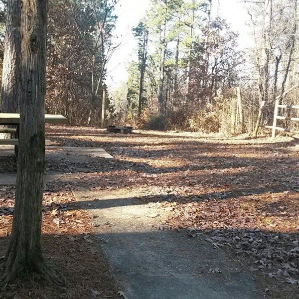 Enjoy hiking, fishing, and camping in the beautiful Crowley's Ridge State Park, offering scenic views and a peaceful natural environment. 