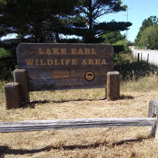 There are several trails around the wildlife area for hiking and nature walks, allowing visitors to enjoy the natural beauty and tranquility of the surroundings. 