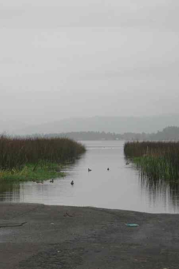 Lake Earl Wildlife Area   - Display Image