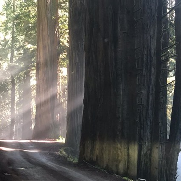 The road is unpaved, making it a somewhat rugged but rewarding ride for cyclists who are comfortable with a mix of dirt and gravel surfaces. 