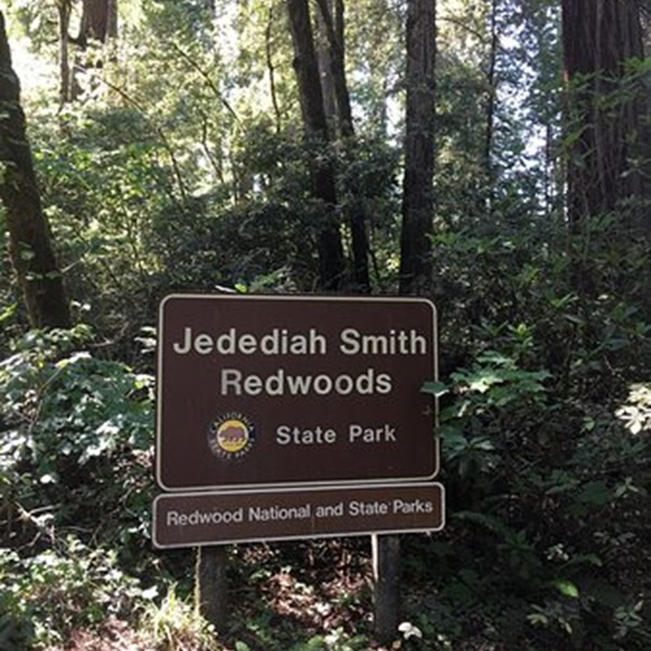 Jedediah Smith Redwoods State Park  - Webpage Image