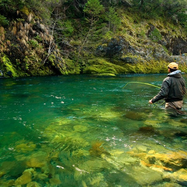 Anglers can enjoy fly fishing, especially during the steelhead season, when the fish are particularly active and responsive to flies in the clear waters. 