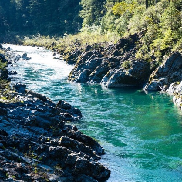 The Smith River is known for being one of the cleanest and clearest rivers in California, with no dams along its course. 
