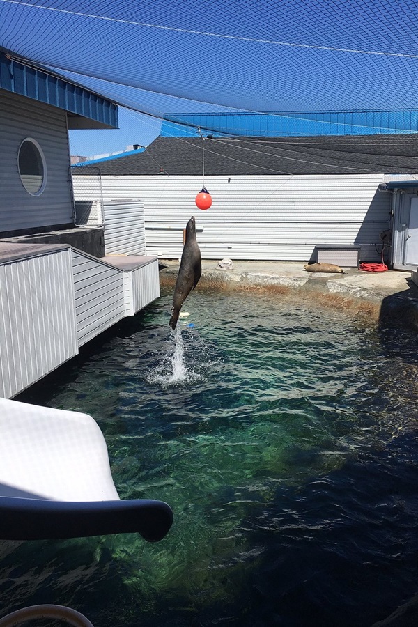 Ocean World     - Display Image