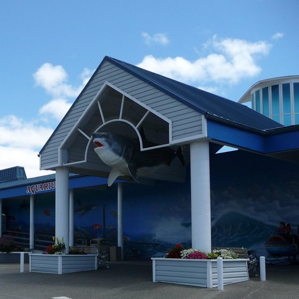 Ocean World     - Webpage Image