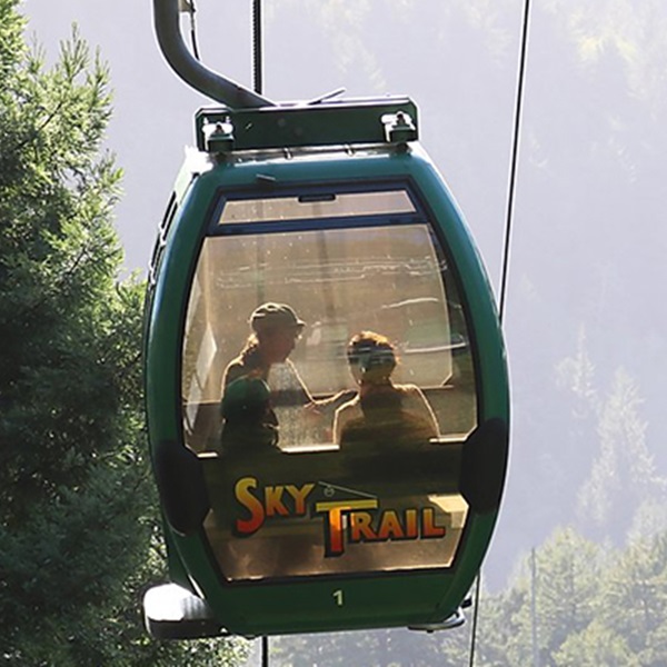 Trees of Mystery offers the SkyTrail, an aerial tramway that takes visitors on a scenic ride through the redwoods, providing stunning views of the forest canopy. 