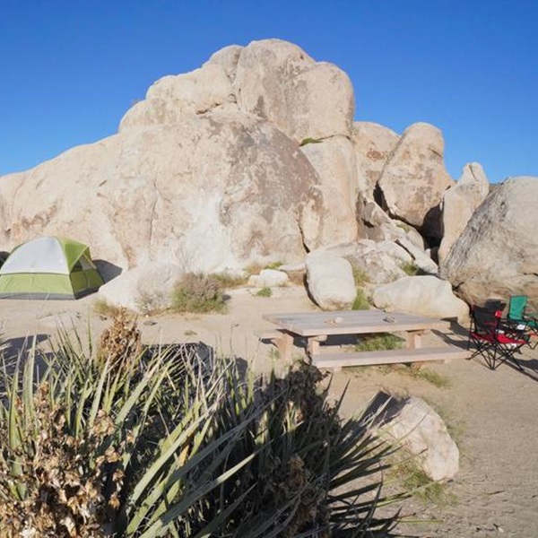 Fall and spring are considered the best times for climbing due to moderate temperatures. 