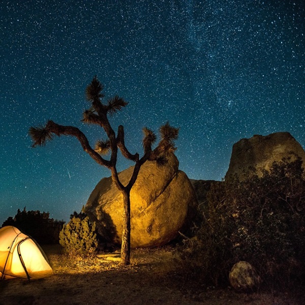 Ryan Campground Park  - Webpage Image