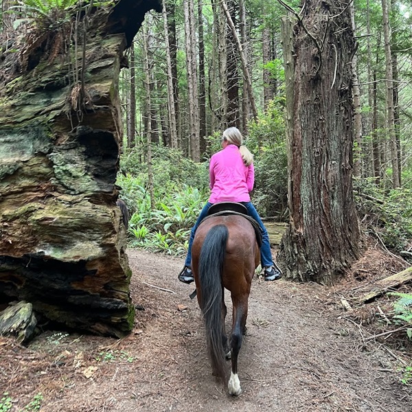 Located close to the Redwood National and State Parks, this attraction provides scenic trails that weave through majestic redwood forests, coastal areas, and open meadows. 