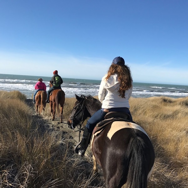 The trails often offer opportunities for visitors to enjoy views of the Pacific Ocean, as well as potential sightings of local wildlife like deer and birds. 