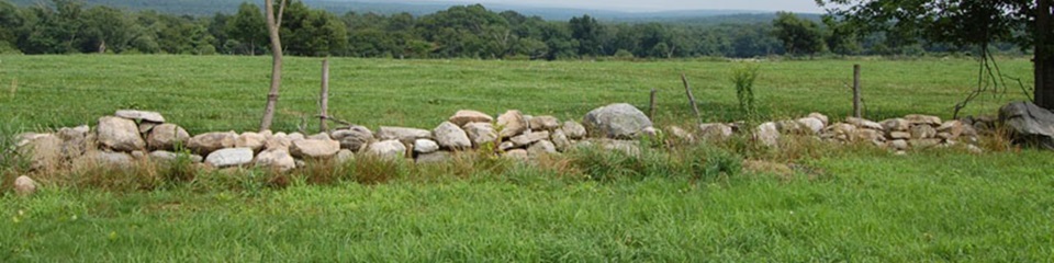 Town of Sterling - Header Image