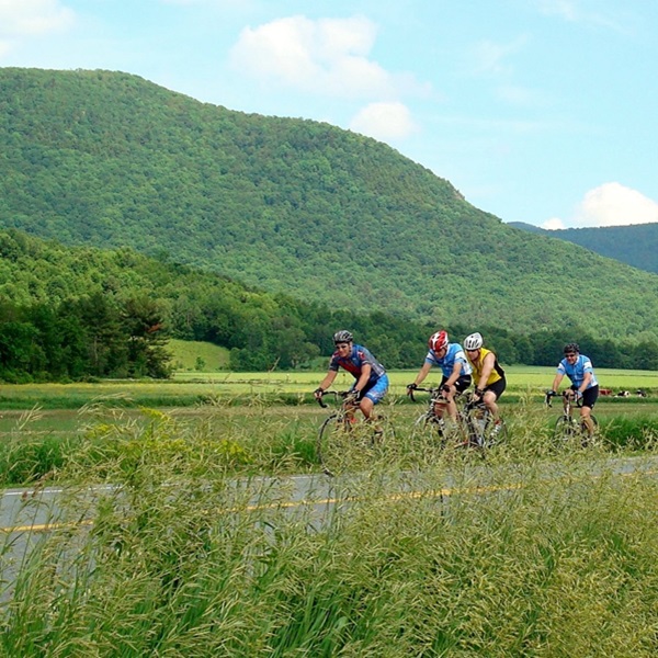 In addition to its natural beauty, Kent offers a wealth of outdoor recreational opportunities, including hiking and biking trails, nature preserves, and scenic overlooks. 