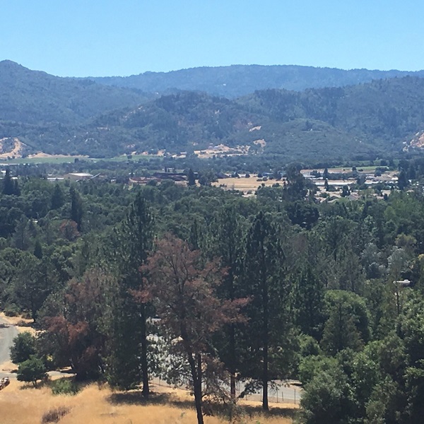 Ukiah is situated near the scenic Redwood Valley, offering stunning views of towering redwood trees and opportunities for hiking, picnicking, and exploring nature. 