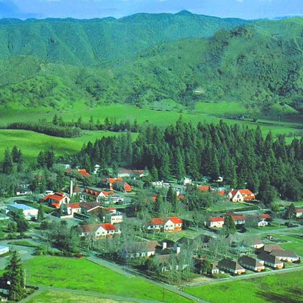 City of Ten Thousand Buddhas  - Webpage Image