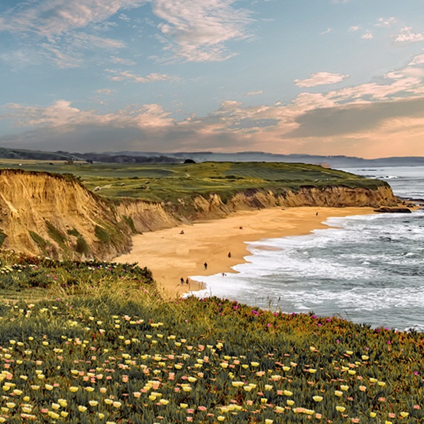 Half Moon Bay State Beach consists of several miles of sandy coastline and is a popular spot for picnicking, walking, beachcombing, and enjoying the Pacific Ocean views. 