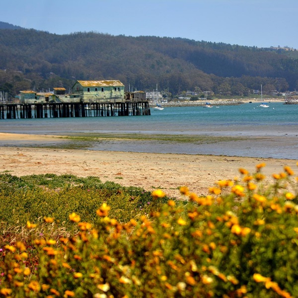 Pillar Point Harbor is a working harbor where visitors can watch fishing boats, buy fresh seafood directly from the boats, and enjoy coastal views. 
