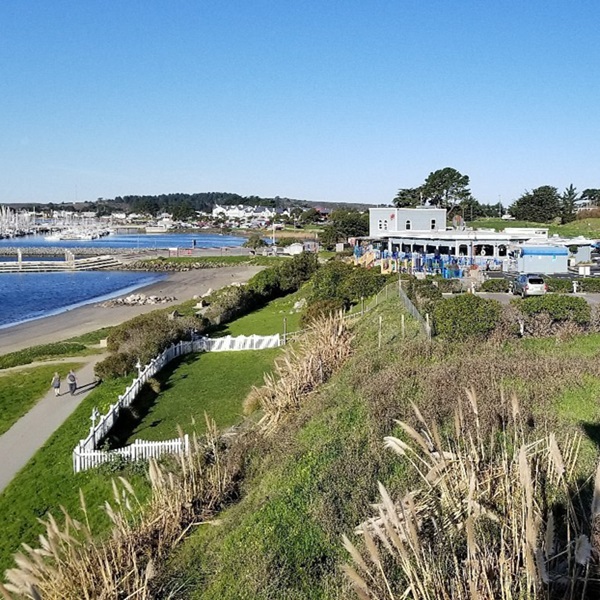 Half Moon Bay Coastal Trail is a scenic trail that runs along the coastline, offering stunning views of the ocean, beaches, and cliffs. 
