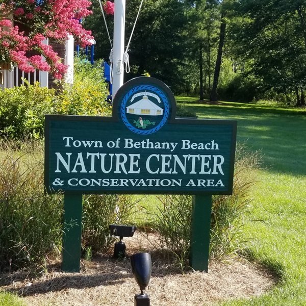 Bethany Beach Nature Center offers interactive exhibits about the local environment, plus trails for walking and birdwatching. 
