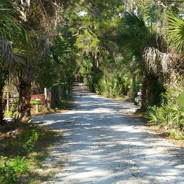 The Happehatchee Center is a nature sanctuary and spiritual center operated by a non-profit organization in Estero. 