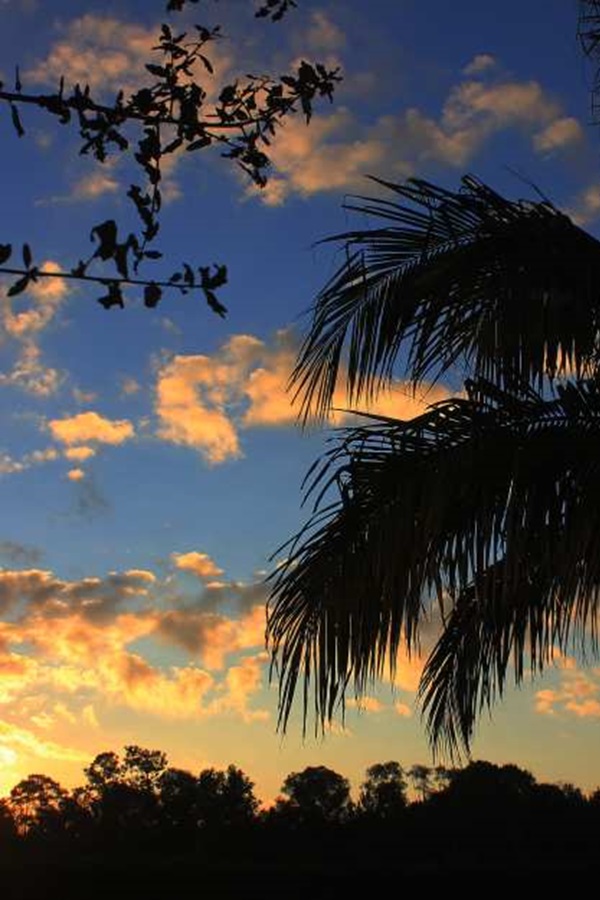 Greater Estero Chamber Of Commerce  - Display Image