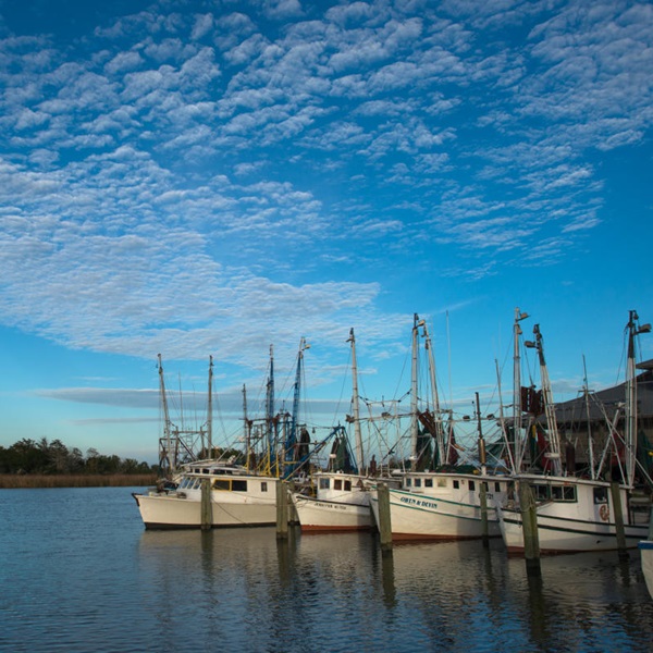 The town is situated on the shores of Apalachicola Bay, one of the most productive estuaries in the United States and renowned for its rich seafood harvest. 