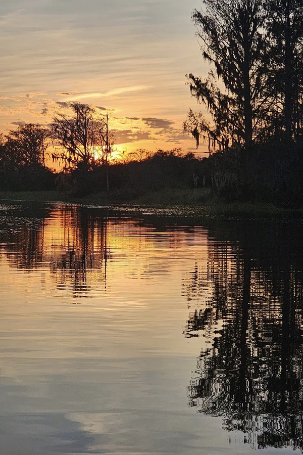 Apalachicola River Paddling Trail System  - Display Image