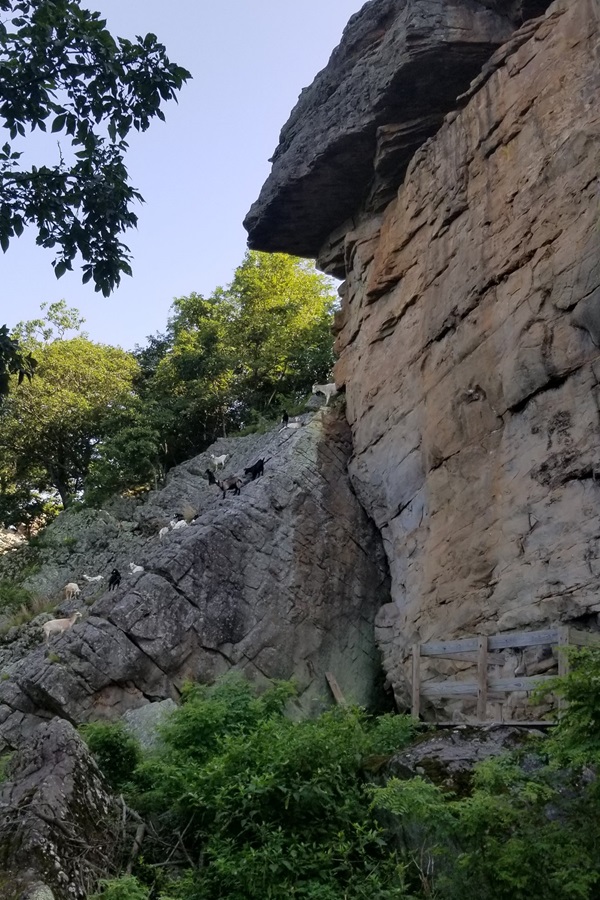 Horseshoe Canyon Ranch    - Display Image