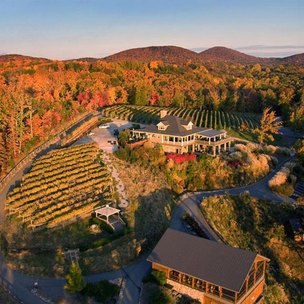 The region around Dahlonega is known for its award-winning vineyards and wineries, many of which offer tastings, tours, and events.