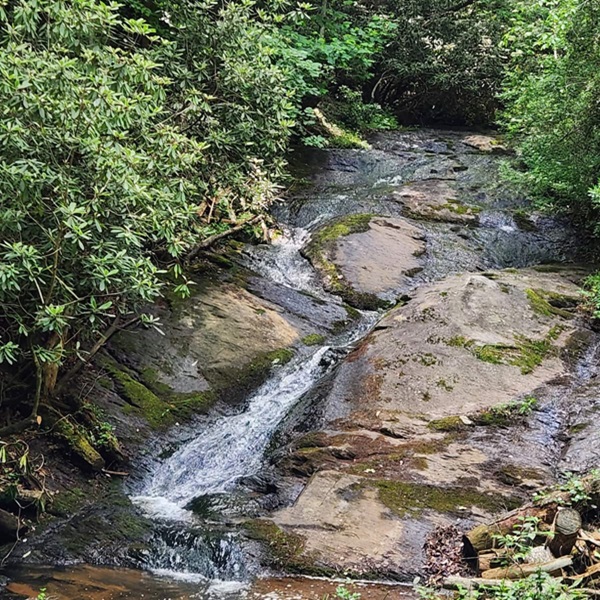 Triple Creek Farms  - Webpage Image