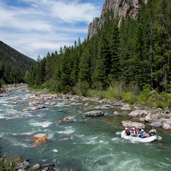 The Gallatin River winds through the stunning Gallatin Canyon, offering rafters spectacular views of rugged cliffs, pine forests, and snow-capped peaks. 