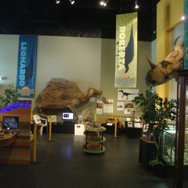 The museum offers interactive exhibits that include hands-on activities and touchable replicas of dinosaur bones. 