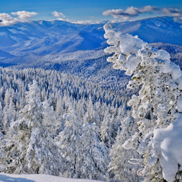 During the winter months, visitors can enjoy skiing, snowboarding, and snowmobiling in the nearby mountains and forested areas. 
