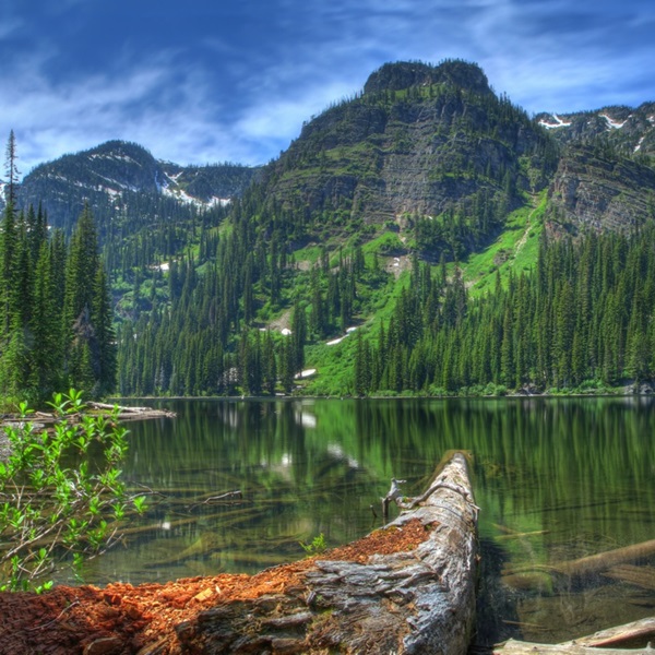 The Cabinet Mountains Wilderness offers opportunities for hiking, camping, fishing, and wildlife viewing in the rugged and beautiful Cabinet Mountains. 
