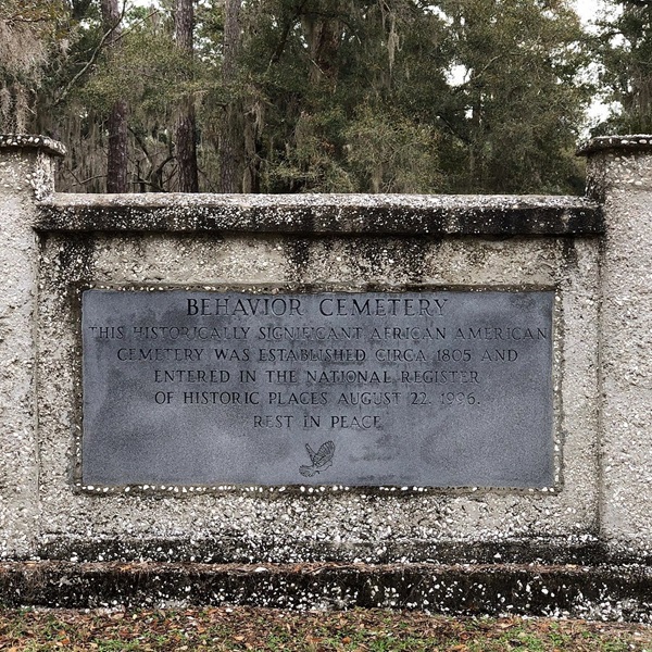 It brings together visitors, researchers, conservationists, and residents to celebrate and protect Sapelo Island's natural and cultural resources. 