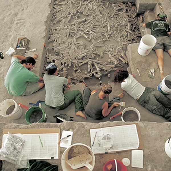 Excavations began in 1971 and continued intermittently for several years, uncovering thousands of bison bones and artifacts. 