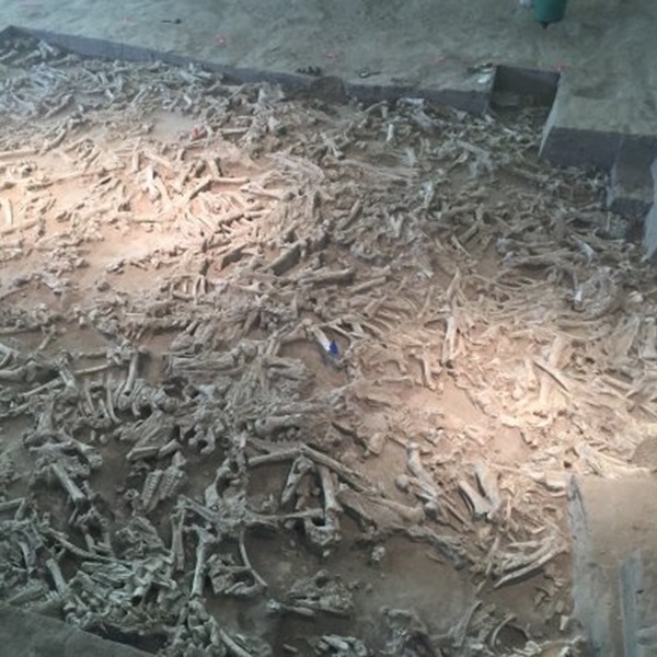 The Hudson-Meng Bison Kill Site is a significant archaeological site dating back to the late Paleo-Indian period. 