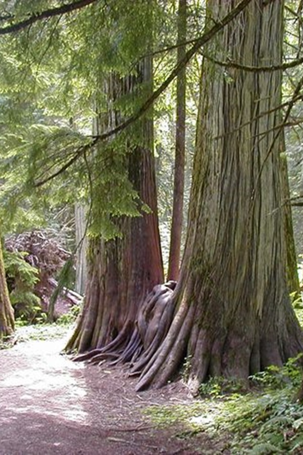 Visit Libby MT    - Display Image