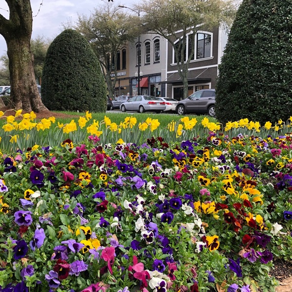 The town's historic downtown area offers charming shops, restaurants, and local businesses, and serves as the cultural and social hub of the community. 